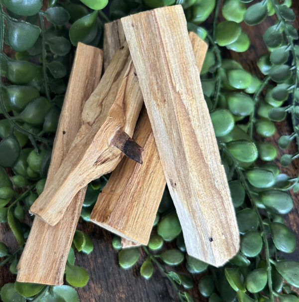 Le Palo Santo est un bois sacré qui a toujours été utilisé par les chamans. Les Incas en étaient de grands utilisateurs pour pour éloigner la négativité