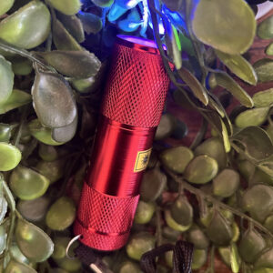 Ces lampes de poche rouges vous seront utiles pour détecter des matières organiques qui sortent de l’ordinaire, une autre vie après la mort.