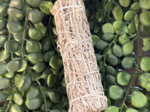 Ces fagots de sauges vertes sont utilisés par les Amérindiens afin de purifier les lieux de toute énergie négative et des mauvais esprits.