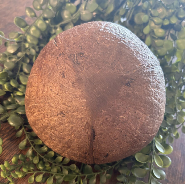 Ces bols en noix de coco vous permettront de conserver des liquides, des poudres, des graines dans votre cuisine. Cet ustensile est très apprécié