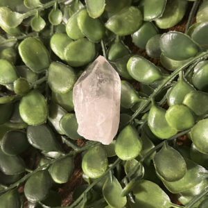 Le cristal de roche est utile dans le domaine de l’énergie, en pierre brute vous êtes plus proche de la nature. Il recentre pour éloigner la négativité