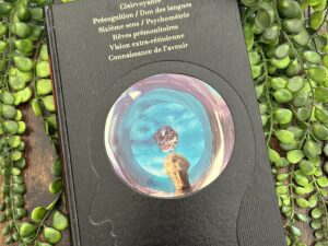 Ce livre est une mine d'or pour les chercheurs de vérités et va ravir les adeptes de la parapsychologie, les enquêteurs paranormaux