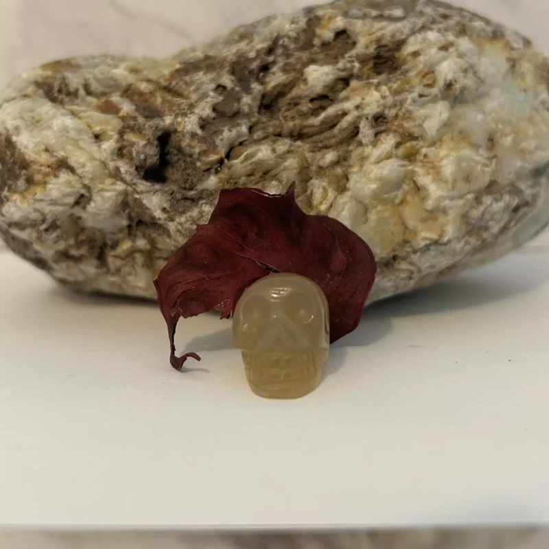 Ce crâne en pierre de calcite orange pourra vous apporter l’inspiration, ce minéral peut recharger vos autres pierres et déverrouille les blocages